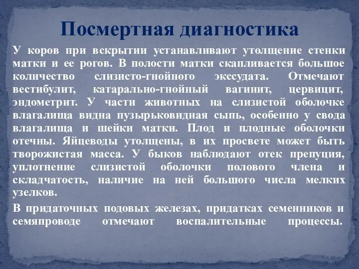 У коров при вскрытии устанавливают утолщение стенки матки и ее рогов.