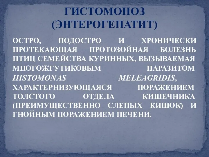 ОСТРО, ПОДОСТРО И ХРОНИЧЕСКИ ПРОТЕКАЮЩАЯ ПРОТОЗОЙНАЯ БОЛЕЗНЬ ПТИЦ СЕМЕЙСТВА КУРИННЫХ, ВЫЗЫВАЕМАЯ