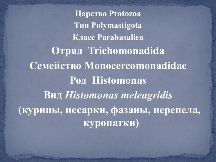 Царство Protozoa Тип Polymastigota Класс Parabasaliea Отряд Trichomonadida Семейство Monocercomonadidae Род