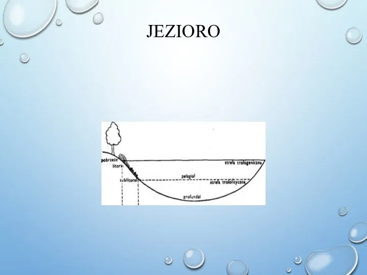 JEZIORO