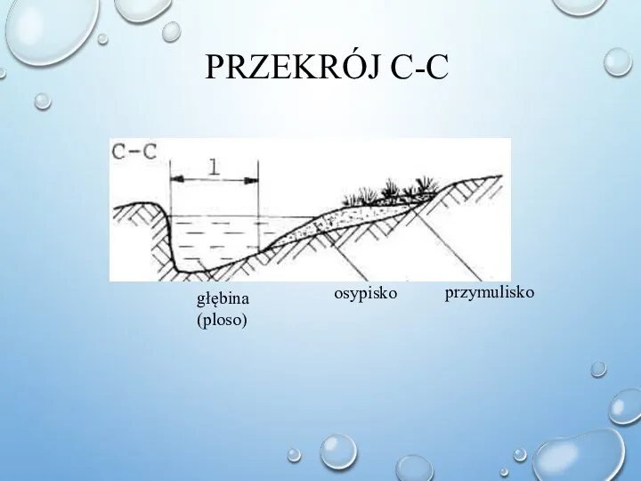 PRZEKRÓJ C-C przymulisko głębina (ploso) osypisko