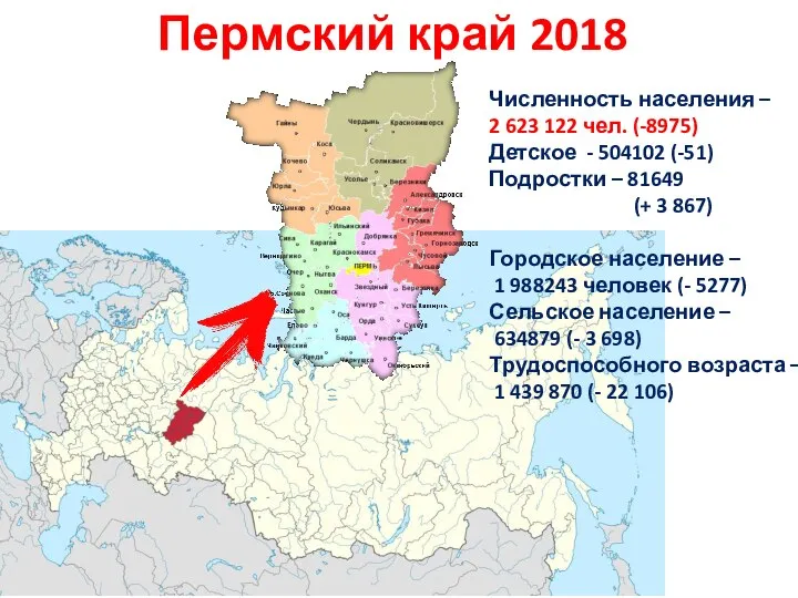 Численность населения – 2 623 122 чел. (-8975) Детское - 504102