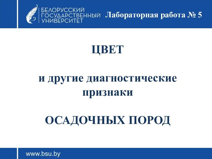 ЦВЕТ и другие диагностические признаки ОСАДОЧНЫХ ПОРОД Лабораторная работа № 5