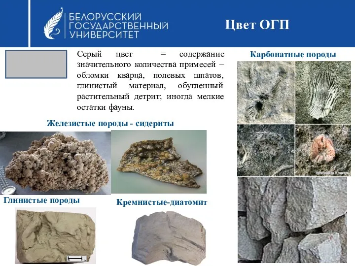 Цвет ОГП Серый цвет = содержание значительного количества примесей – обломки