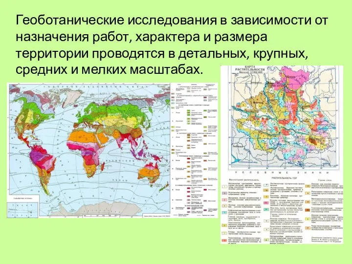 Геоботанические исследования в зависимости от назначения работ, характера и размера территории