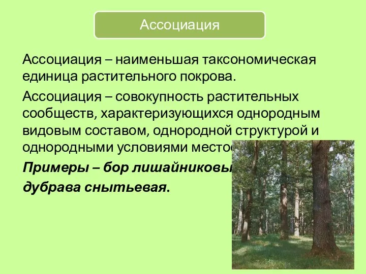 Ассоциация – наименьшая таксономическая единица растительного покрова. Ассоциация – совокупность растительных