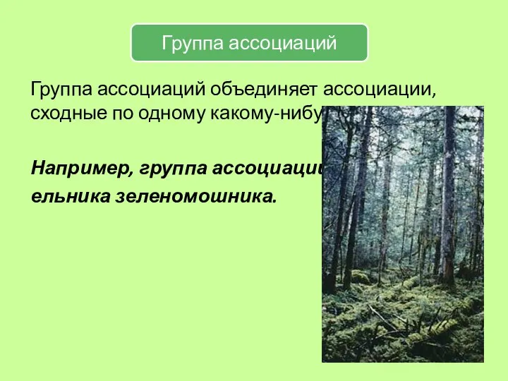 Группа ассоциаций объединяет ассоциации, сходные по одному какому-нибудь ярусу. Например, группа ассоциаций ельника зеленомошника.