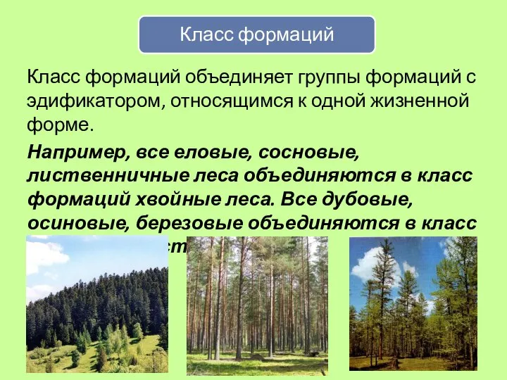 Класс формаций объединяет группы формаций с эдификатором, относящимся к одной жизненной