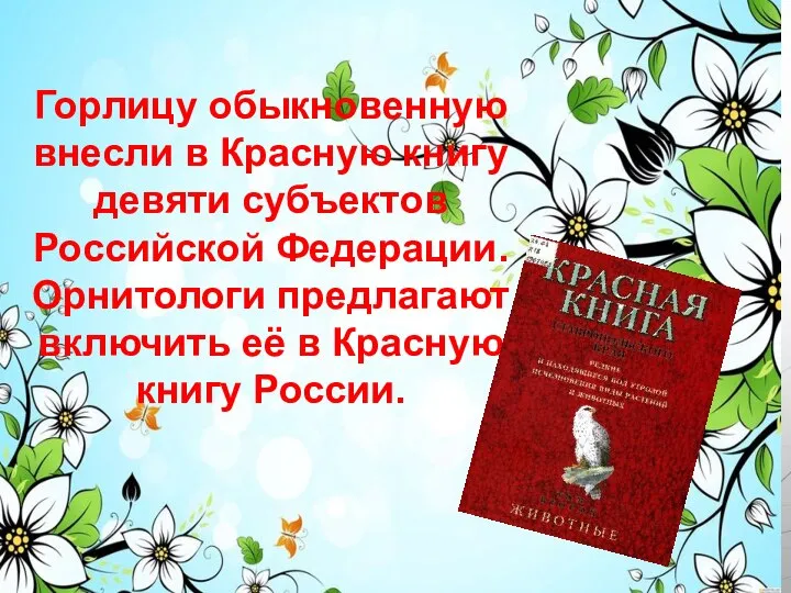 Горлицу обыкновенную внесли в Красную книгу девяти субъектов Российской Федерации. Орнитологи