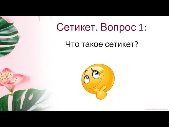 Сетикет. Вопрос 1: Что такое сетикет?