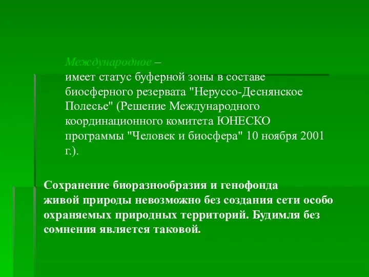 Международное – имеет статус буферной зоны в составе биосферного резервата "Неруссо-Деснянское