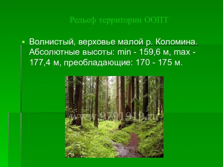 Рельеф территории ООПТ Волнистый, верховье малой р. Коломина. Абсолютные высоты: min