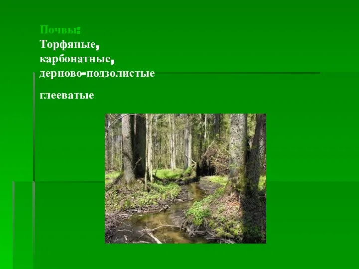 Почвы: Торфяные, карбонатные, дерново-подзолистые глееватые