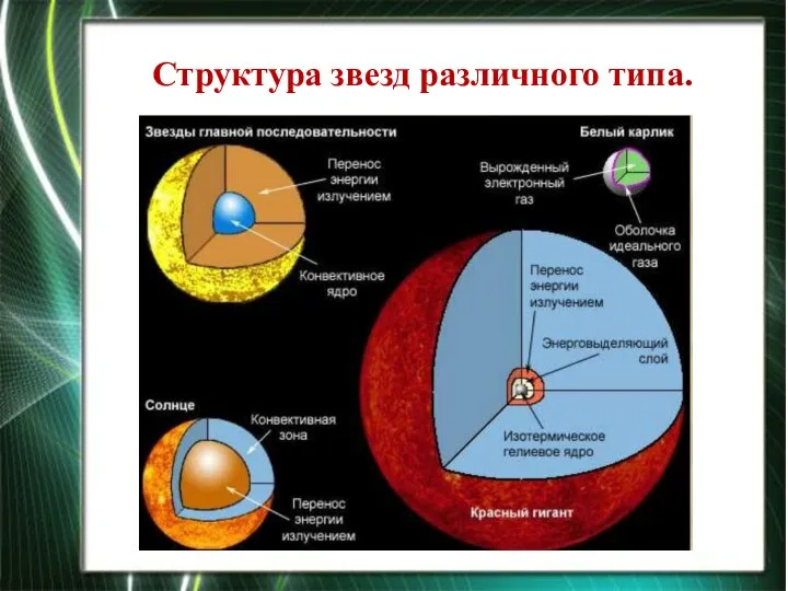 Структура звезд различного типа.