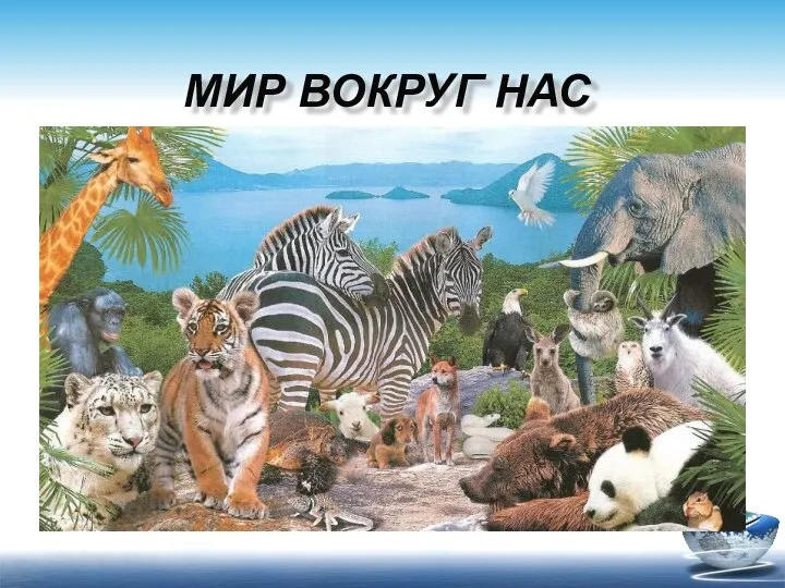 МИР ВОКРУГ НАС