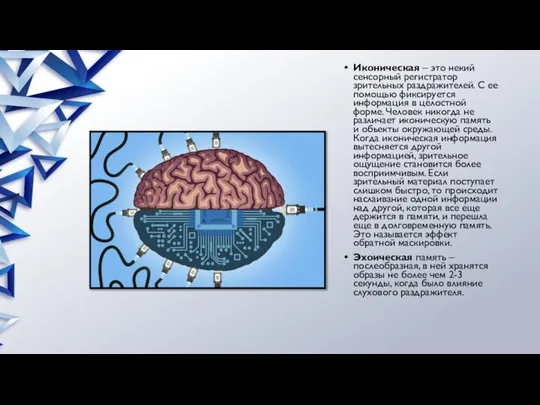 Иконическая – это некий сенсорный регистратор зрительных раздражителей. С ее помощью
