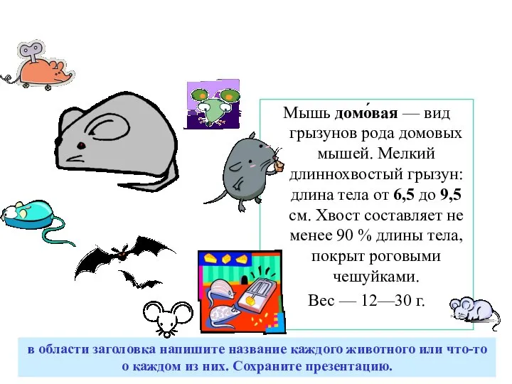 Мышь домо́вая — вид грызунов рода домовых мышей. Мелкий длиннохвостый грызун: