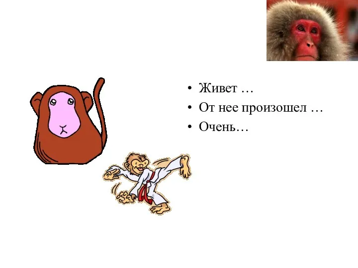 Живет … От нее произошел … Очень…