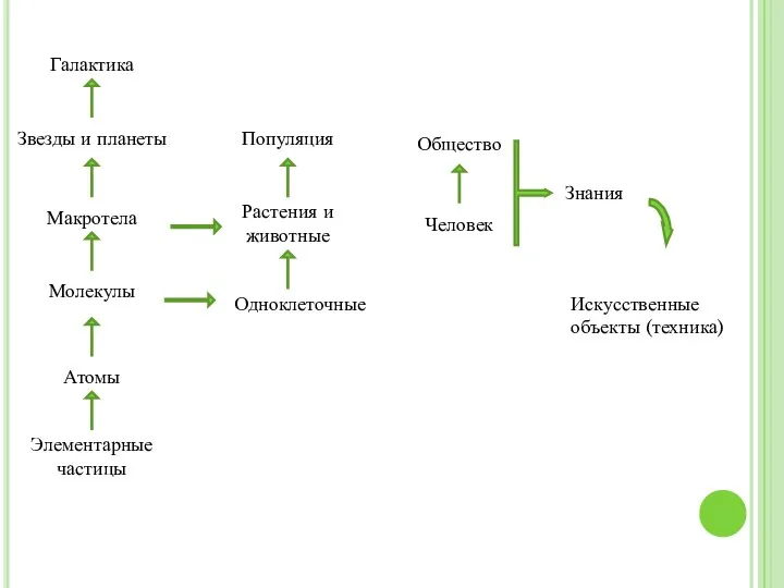 Галактика Звезды и планеты Макротела Молекулы Атомы Элементарные частицы Популяция Растения