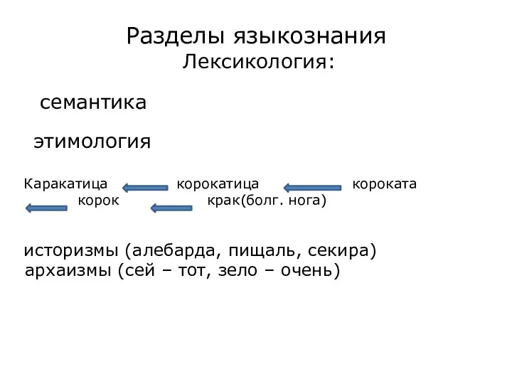 Разделы языкознания Лексикология: семантика этимология Каракатица корокатица короката корок крак(болг. нога)