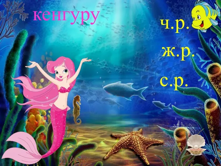 кенгуру ч.р. ж.р. с.р.