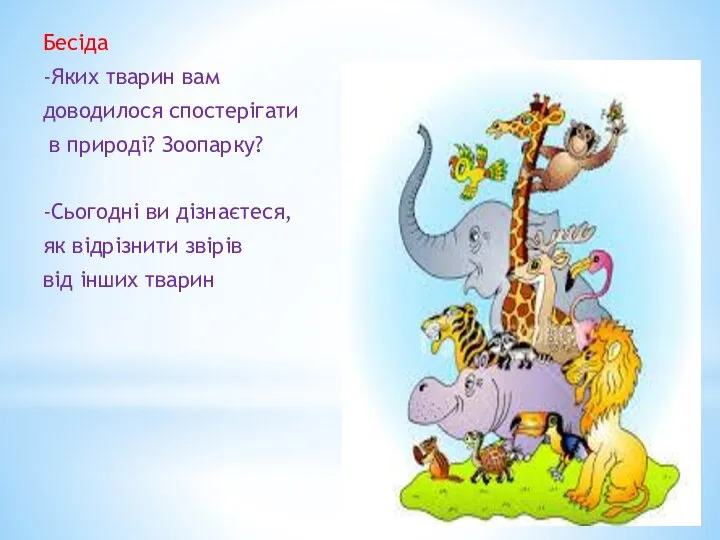 Бесіда -Яких тварин вам доводилося спостерігати в природі? Зоопарку? -Сьогодні ви