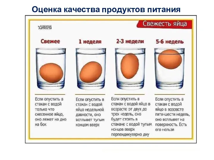 Оценка качества продуктов питания