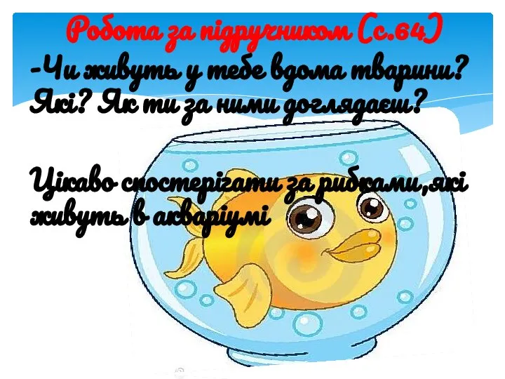 Робота за підручником (с.64) -Чи живуть у тебе вдома тварини?Які? Як