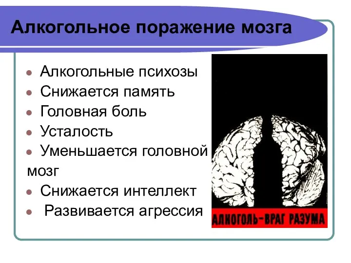 Алкогольное поражение мозга Алкогольные психозы Снижается память Головная боль Усталость Уменьшается