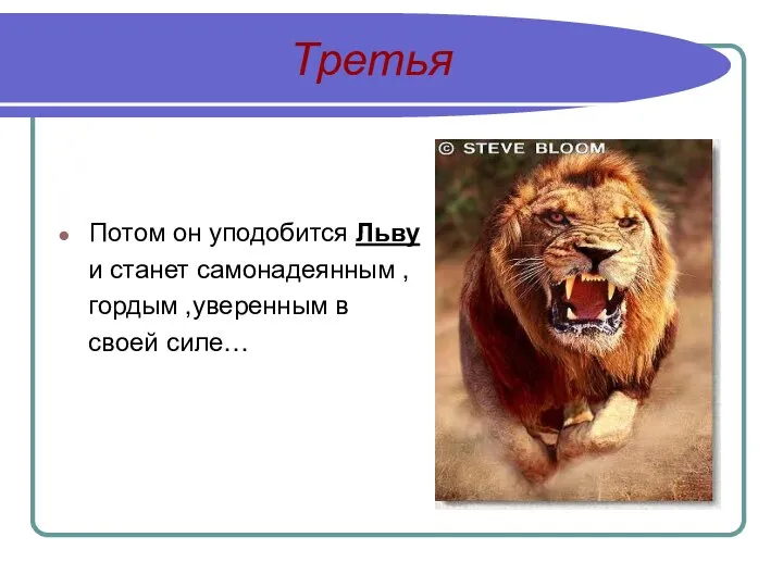 Третья Потом он уподобится Льву и станет самонадеянным , гордым ,уверенным в своей силе…