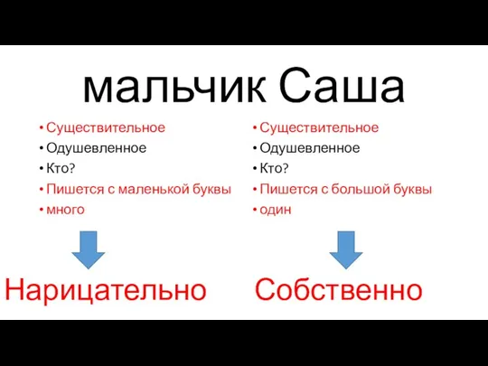 мальчик Саша Существительное Одушевленное Кто? Пишется с маленькой буквы много Существительное