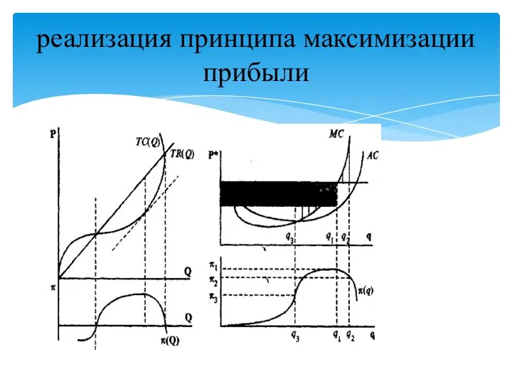 реализация принципа максимизации прибыли