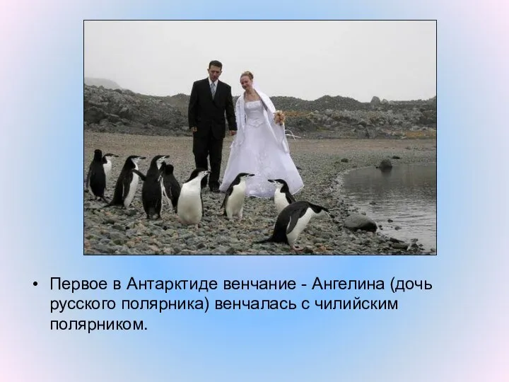 Первое в Антарктиде венчание - Ангелина (дочь русского полярника) венчалась с чилийским полярником.