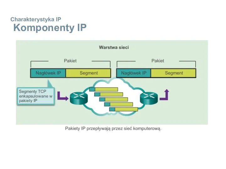 Charakterystyka IP Komponenty IP