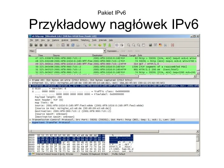 Pakiet IPv6 Przykładowy nagłówek IPv6