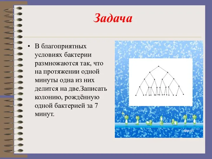 Задача В благоприятных условиях бактерии размножаются так, что на протяжении одной