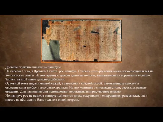 Древние египтяне писали на папирусе. На берегах Нила, в Древнем Египте,