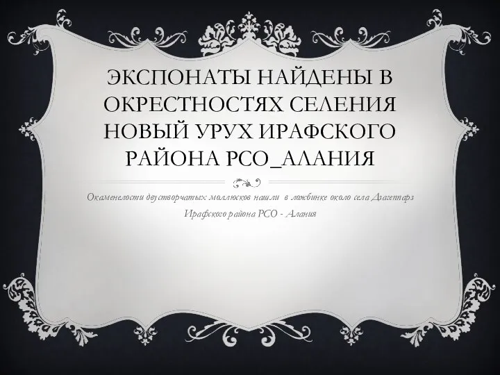 ЭКСПОНАТЫ НАЙДЕНЫ В ОКРЕСТНОСТЯХ СЕЛЕНИЯ НОВЫЙ УРУХ ИРАФСКОГО РАЙОНА РСО_АЛАНИЯ Окаменелости