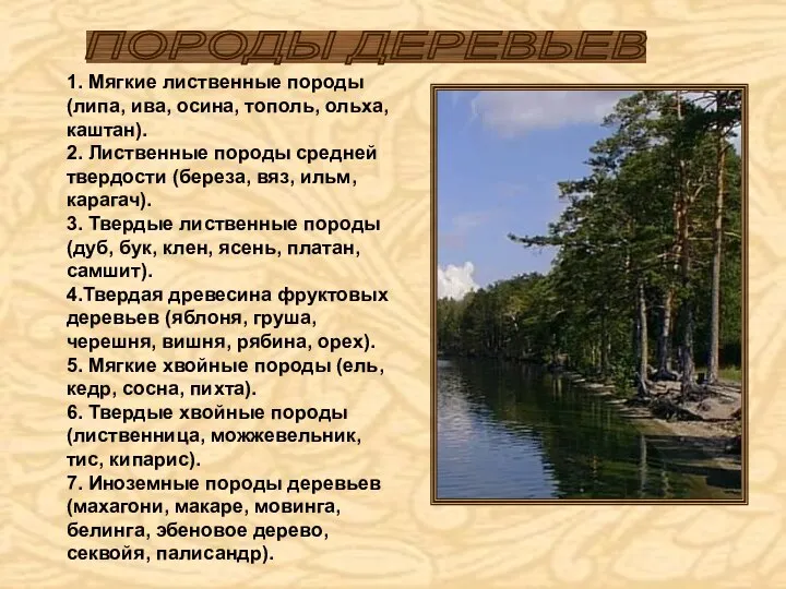 1. Мягкие лиственные породы (липа, ива, осина, тополь, ольха, каштан). 2.