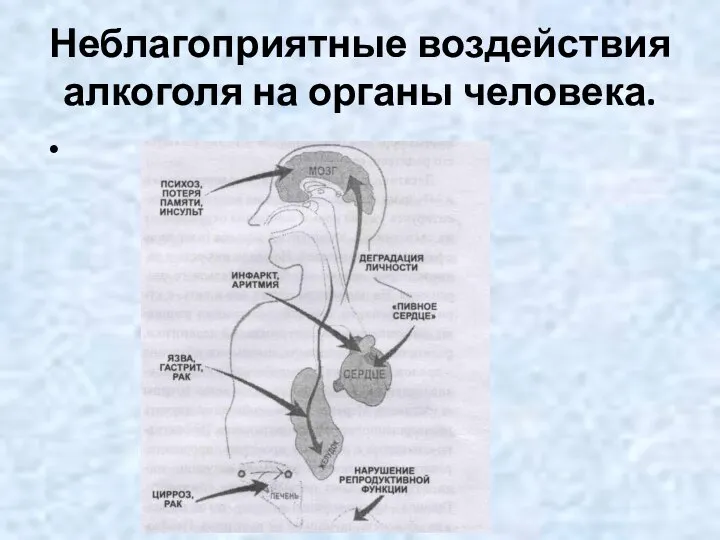 Неблагоприятные воздействия алкоголя на органы человека.