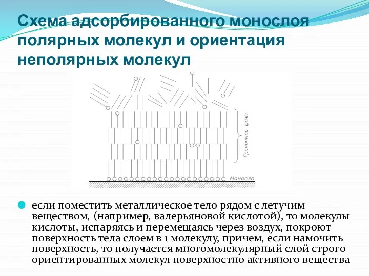 Схема адсорбированного монослоя полярных молекул и ориентация неполярных молекул если поместить