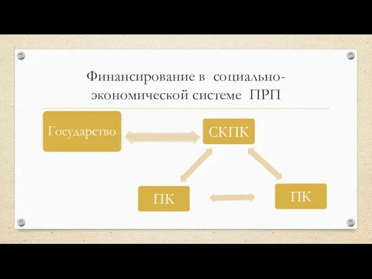 Финансирование в социально-экономической системе ПРП