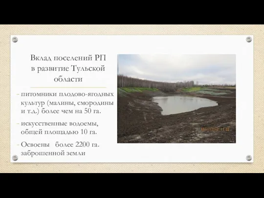 Вклад поселений РП в развитие Тульской области питомники плодово-ягодных культур (малины,