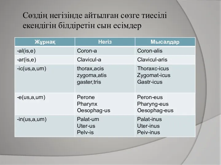 Сөздің негізінде айтылған сөзге тиесілі екендігін білдіретін сын есімдер