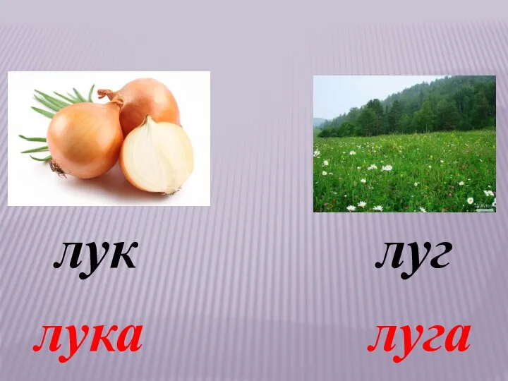 лук луг лука луга