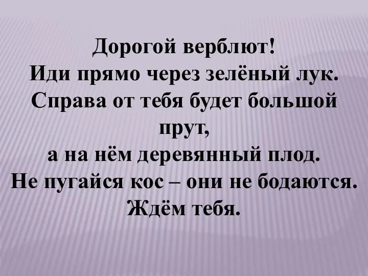 Дорогой верблют! Иди прямо через зелёный лук. Справа от тебя будет