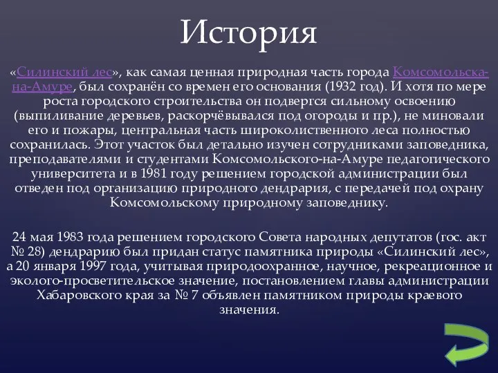 «Силинский лес», как самая ценная природная часть города Комсомольска-на-Амуре, был сохранён