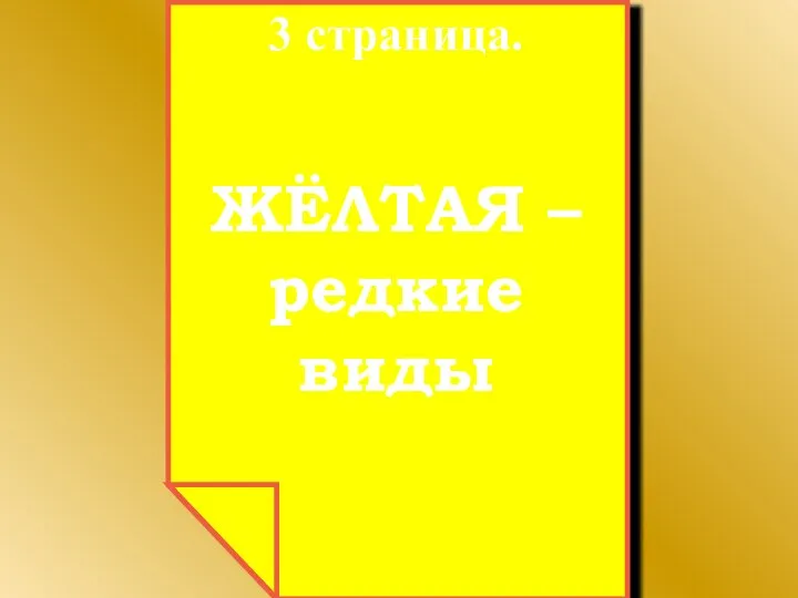 3 страница. ЖЁЛТАЯ – редкие виды