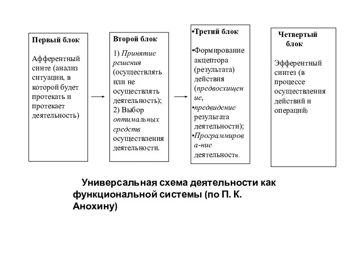 Универсальная схема деятельности как функциональной системы (по П. К. Анохину)