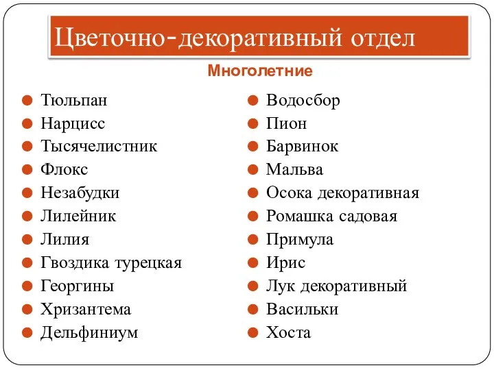 Цветочно-декоративный отдел Многолетние Тюльпан Нарцисс Тысячелистник Флокс Незабудки Лилейник Лилия Гвоздика